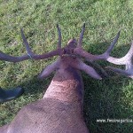 IMG-20130917-00802