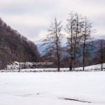 caza en rumania (1)