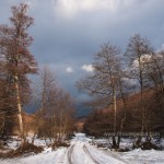 caza en rumania (15)