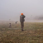 caza en rumania (16)