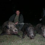 caza en rumania (6)